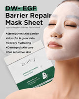 Barrier Repair Mask