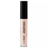 Double Longwear Cover Concealer
