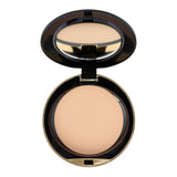 Conceal And Perfect Shine Proof Powder