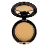Conceal And Perfect Shine Proof Powder